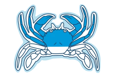 Araignée européenne