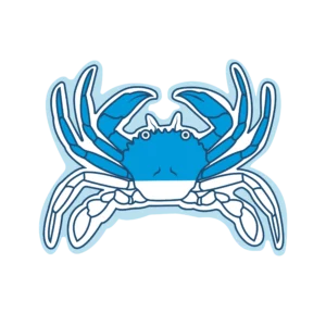 Crabe vert de la Méditerranée