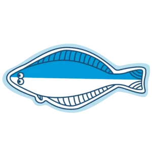 Flétan de l’Atlantique