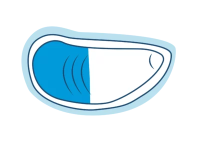 Moule méditerranéenne